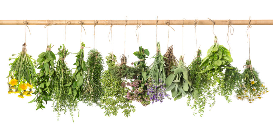 herbal solutions for allergies