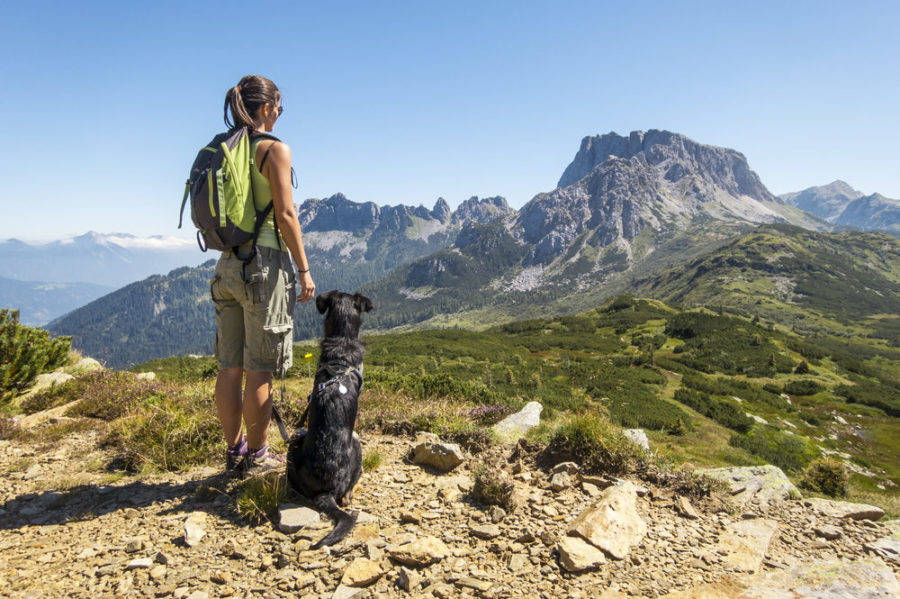 How to keep your dog happy and safe on a hike