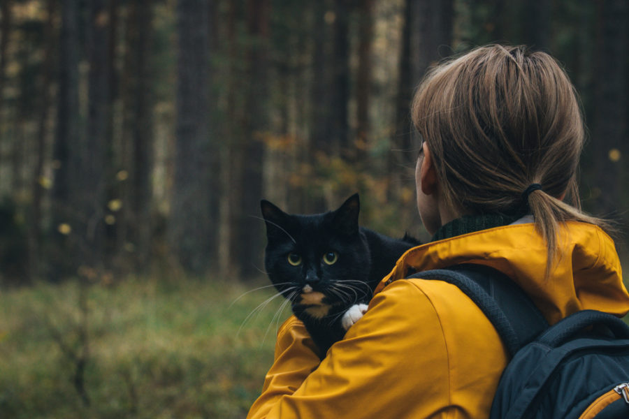 Camping with your cat