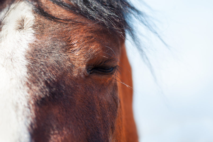 Acupressure for hospice and grief care