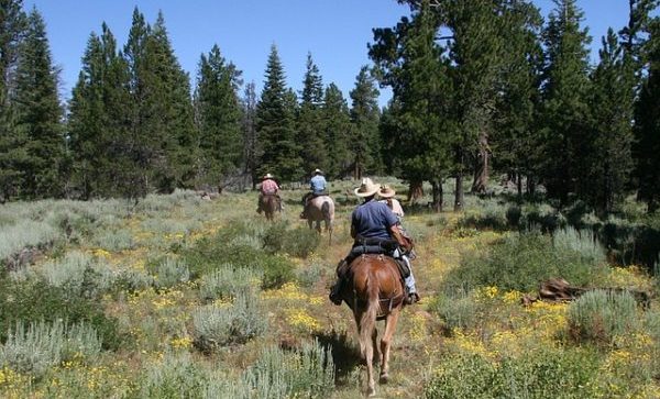 creating equestrian trails for riding