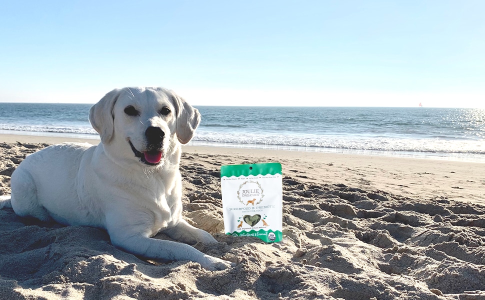 Joulie Organics: plant-based dog treats with a cause