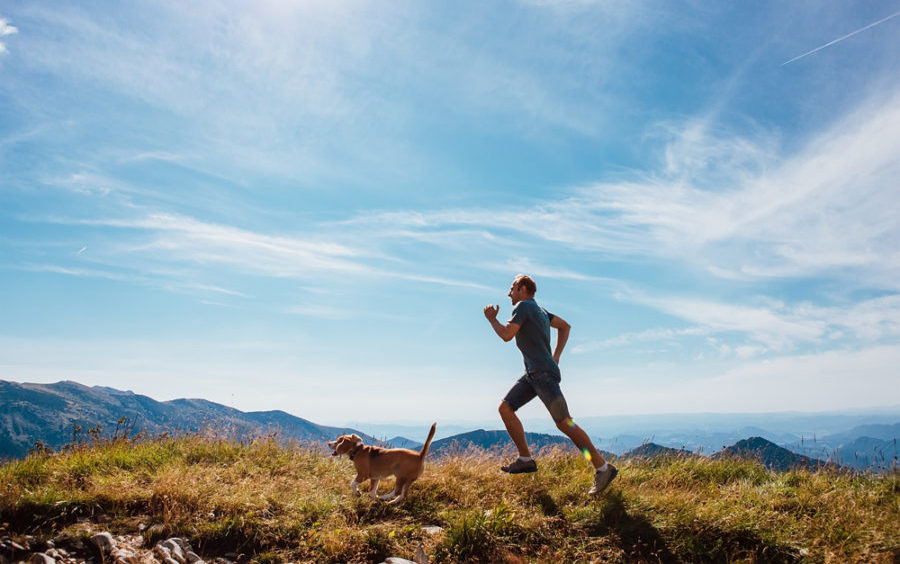 Biking and jogging with your dog