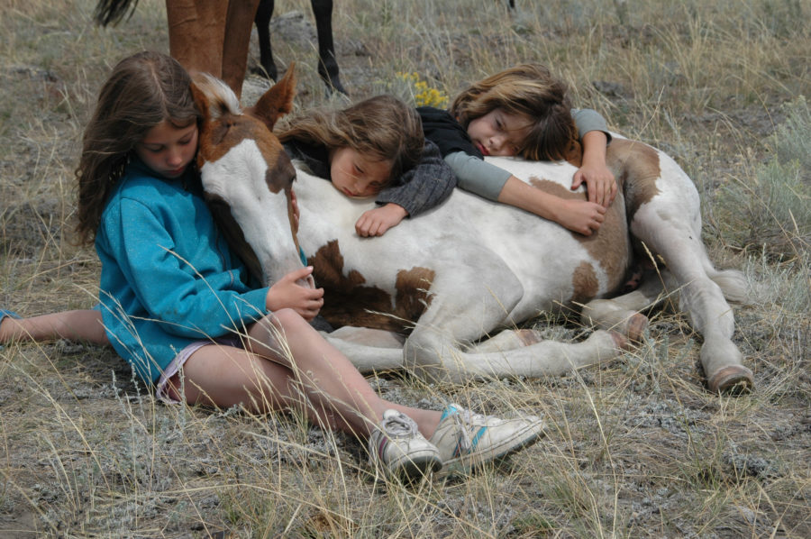 Imprinting your foal – a non-invasive and loving approach