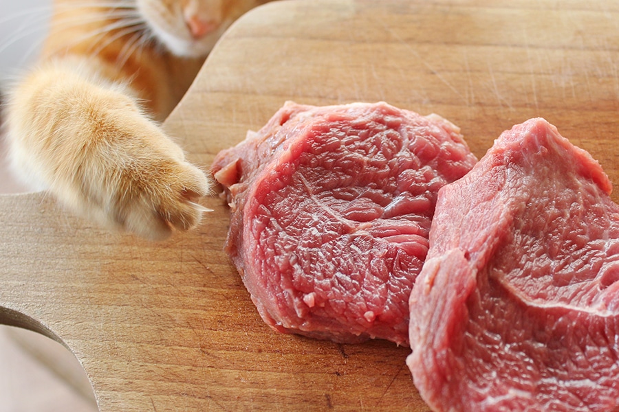 Guidelines for helping clients formulate meat-based diets that meet AAFCO, NRC and European standards
