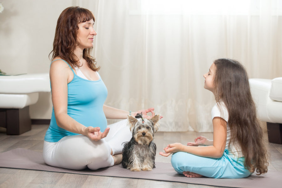 Meditation for you and your pets