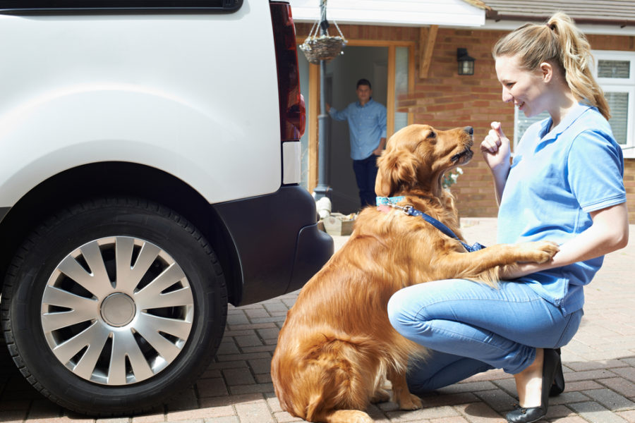 Mobile pet services