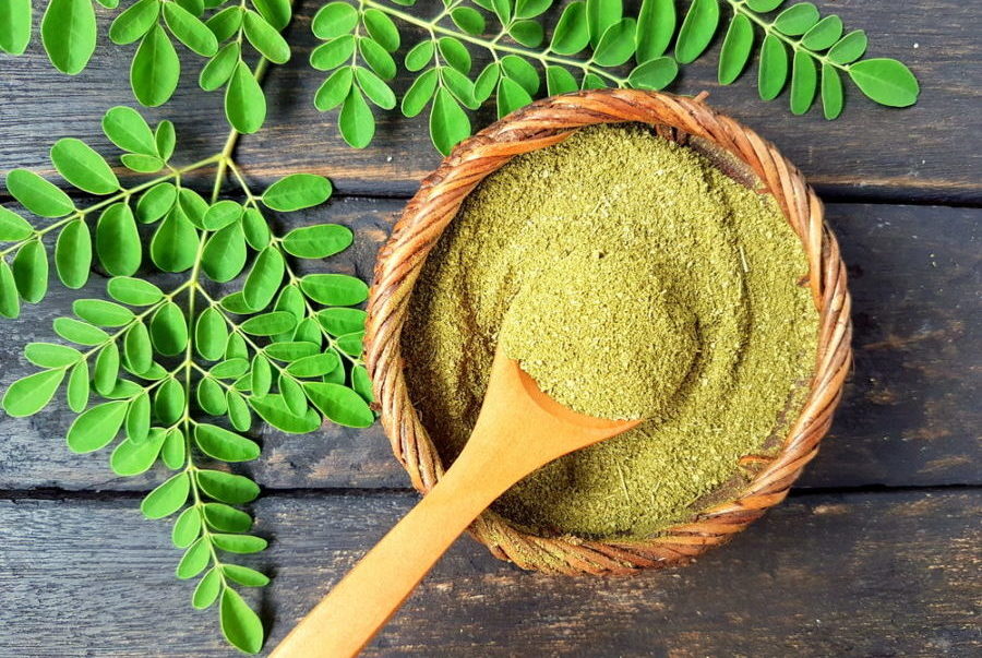 Moringa — the new superfood on the block