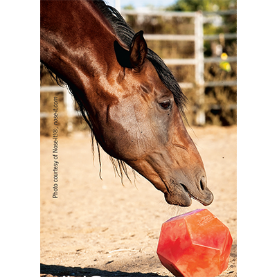 Toys for horses, ball