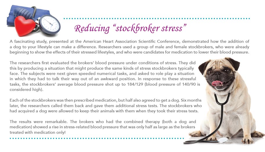 reducing stockbroker stress in dogs