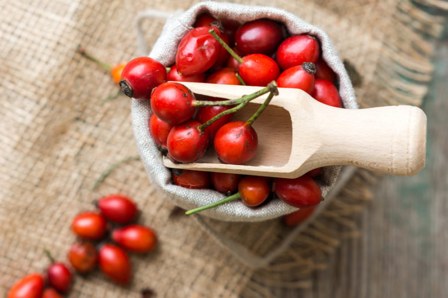 rose hips