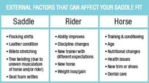 saddle-fit-chart