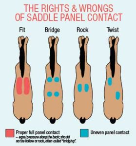 saddle-panel-contact-chart