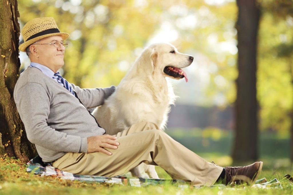 Caring for your senior dog