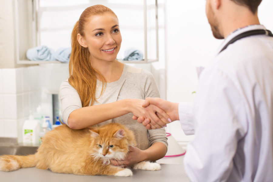 What millennials want from their veterinarians