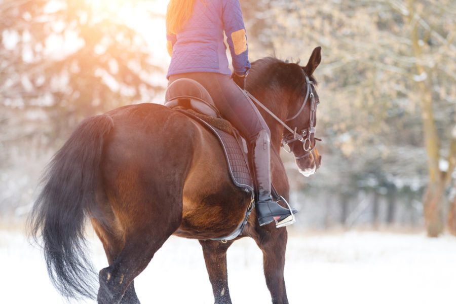 Tips for winter horse training