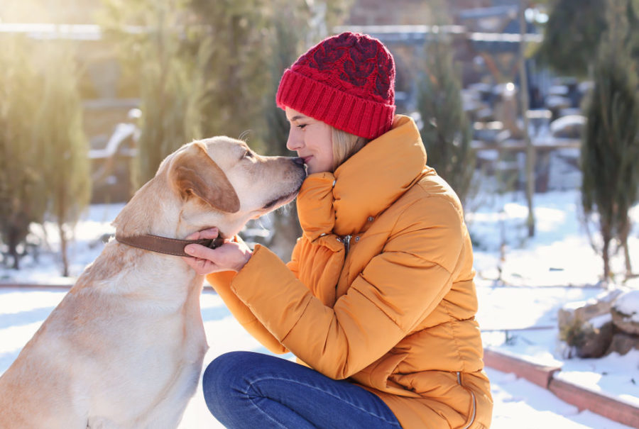 10 dog-friendly winter events