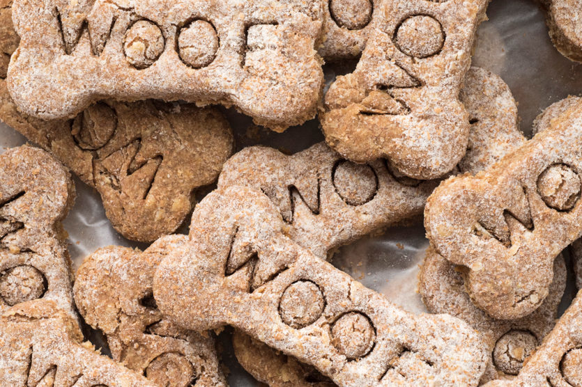 Choosing the perfect dog treats