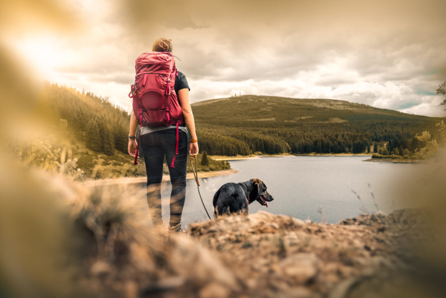 Long-distance hiking with your dog