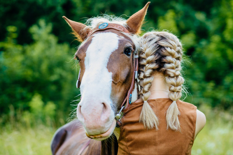 Should you microchip your horse?