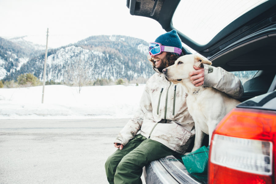 5 tips for winter travel with your dog