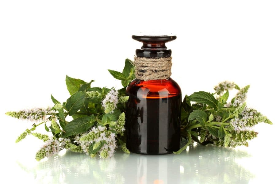 essential oils to maximize health