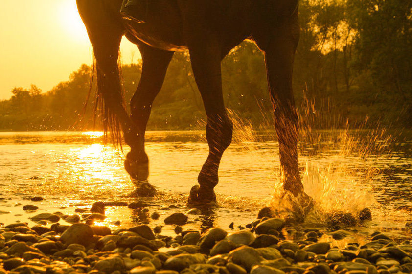 Barefoot transition: tips for success