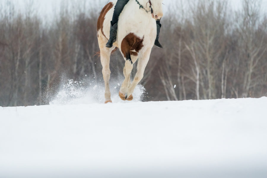 Winter hoof care