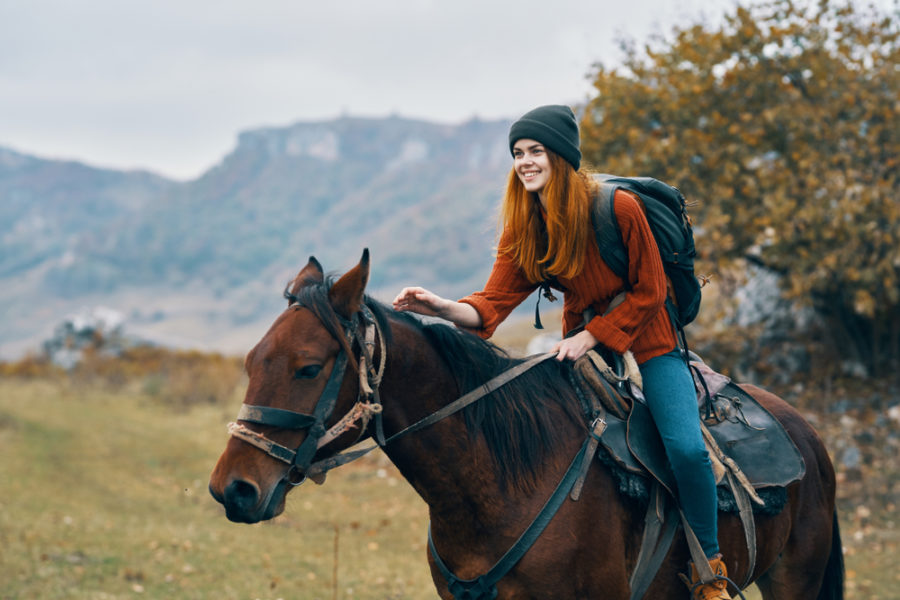 Travel checklists for horse caretakers