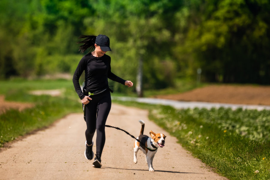 Get a jump on spring training with your dog