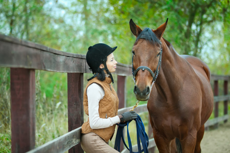 Retiring your horse