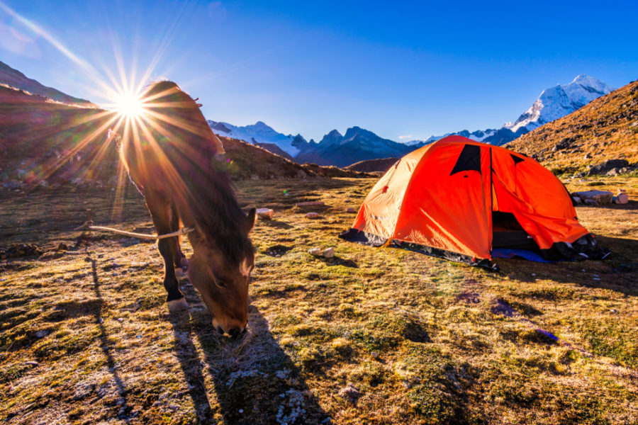 The ultimate guide to camping with horses – planning and packing