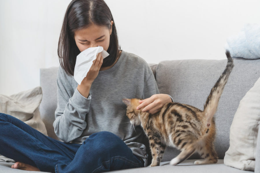 Are you allergic to your cat?