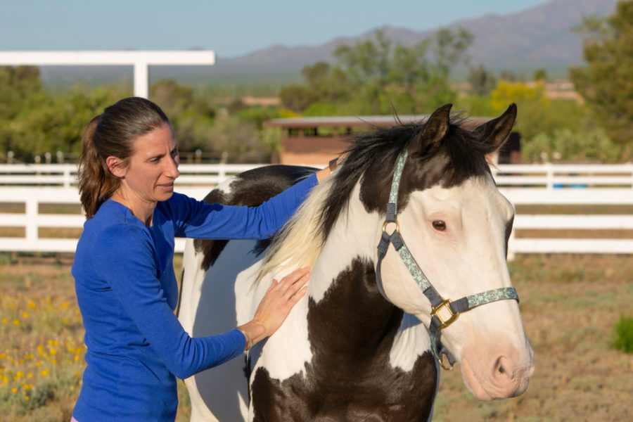 How myofascial release can help your horse