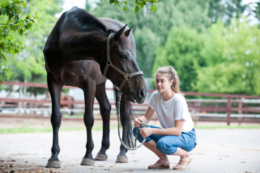 Building a great relationship with your horse