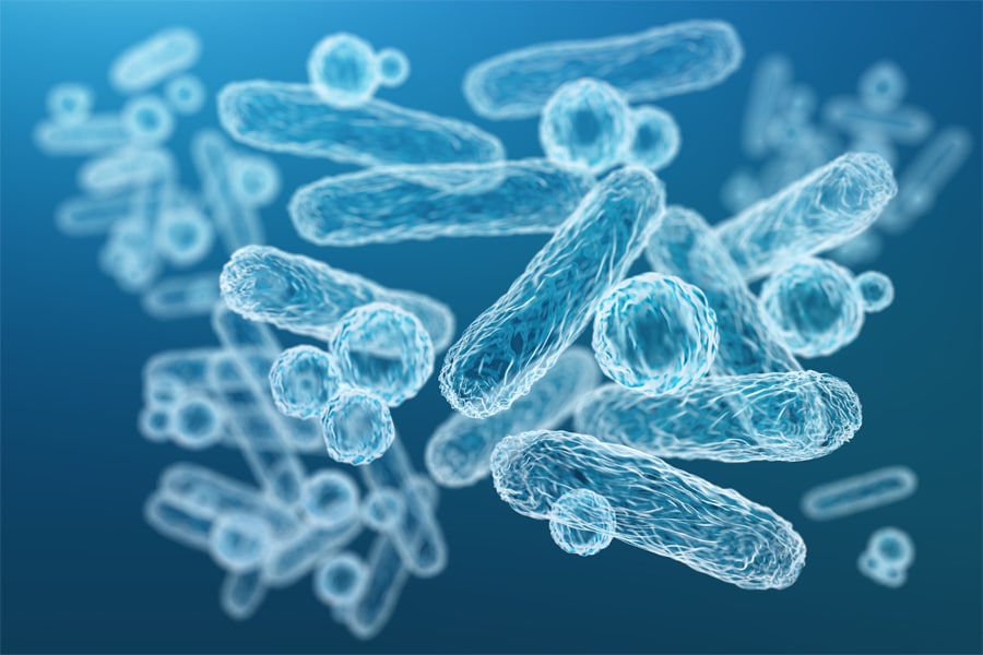 Probiotics, the missing nutrients — part 2