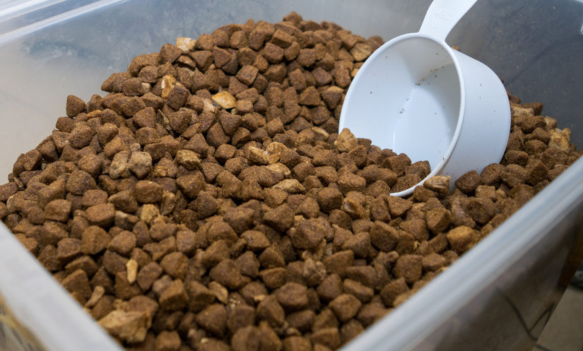 Tips for storing pet food…properly!