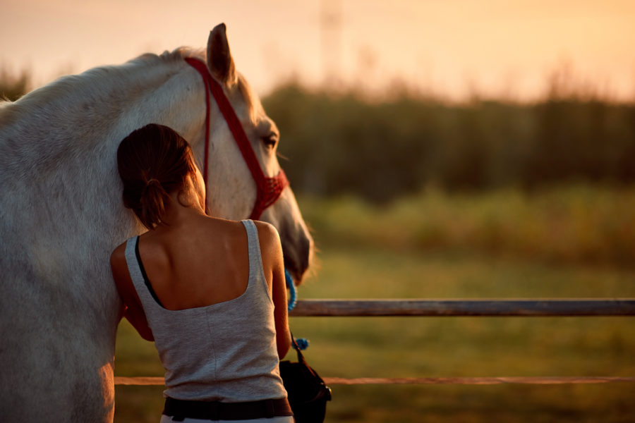 Practical ways to extend your horse’s lifespan