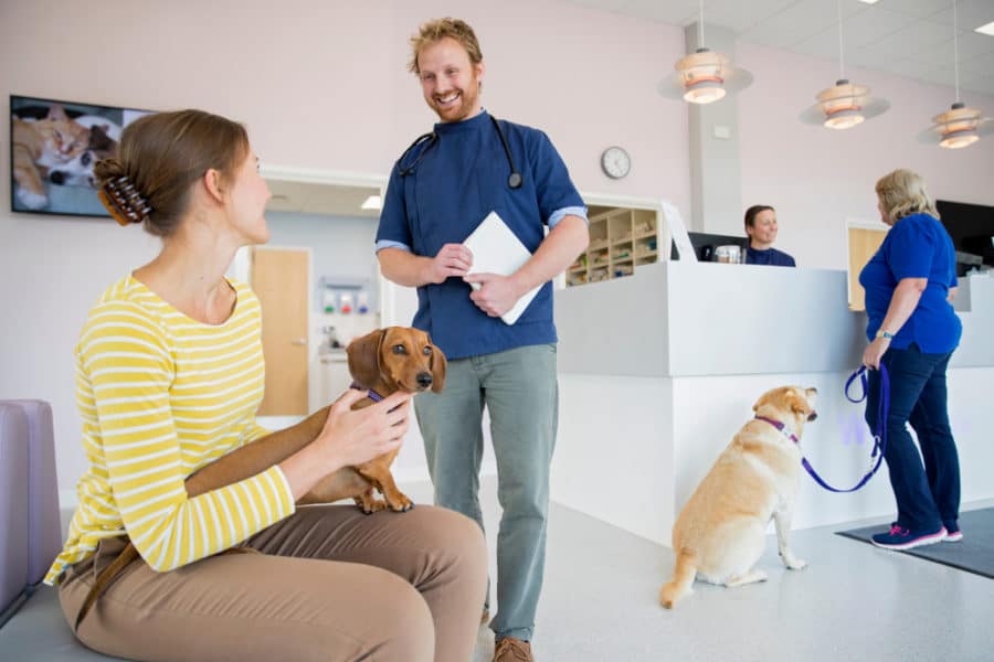 Tips for expanding your veterinary services