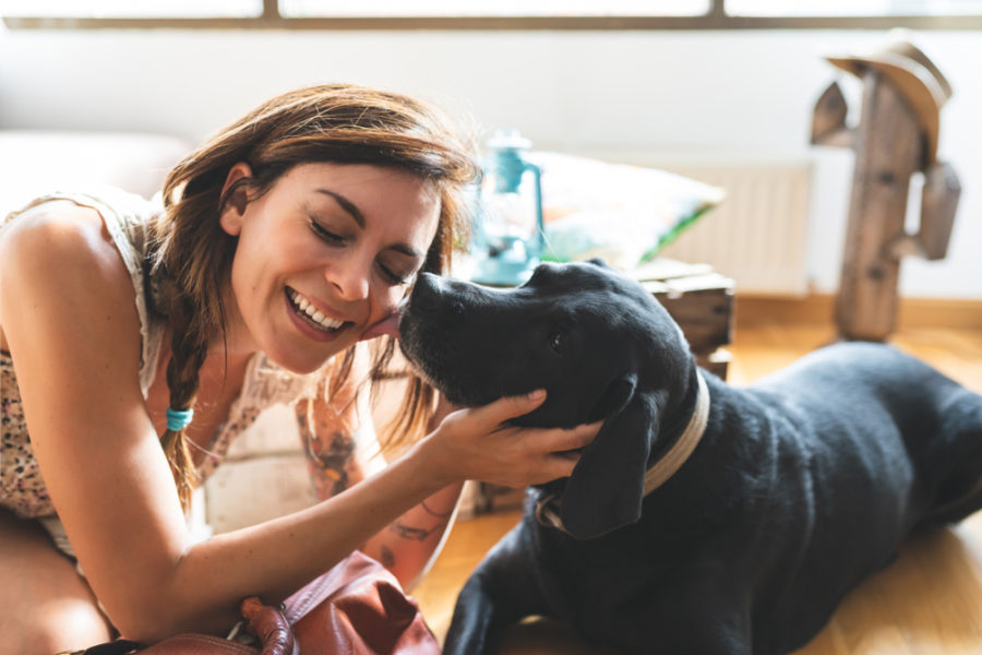 Research shows our ability to communicate with dogs is learned