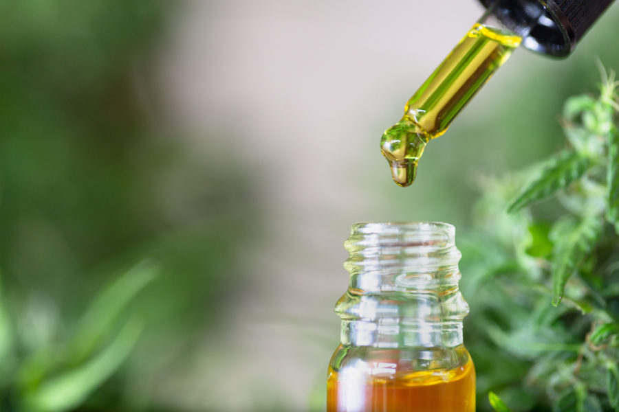 Hemp oil for pets -- making sense of different types