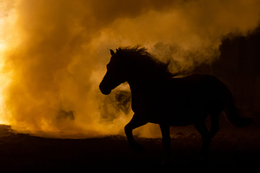 Protecting your horses from the smoke