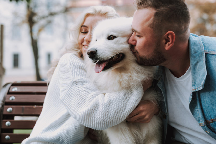 Research suggests dog people are happier than cat people