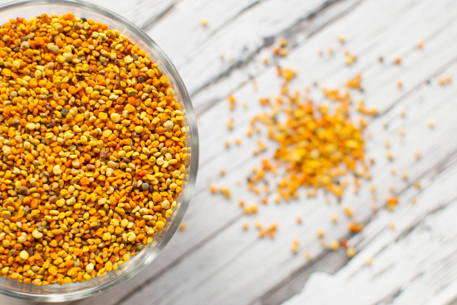 The benefits of bee pollen for dogs