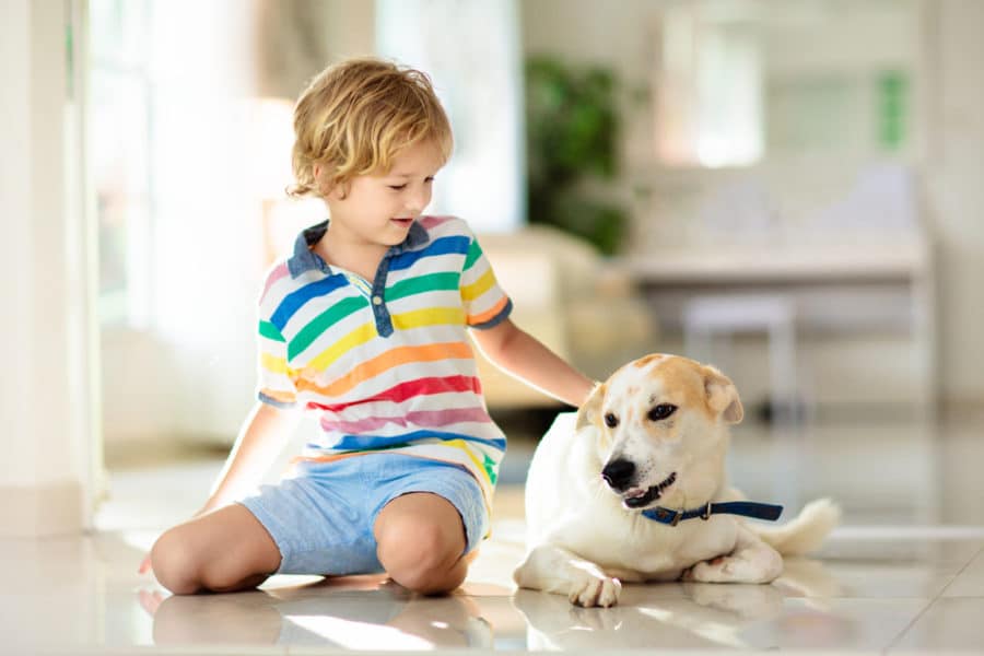 My dog doesn’t like kids – what should I do?