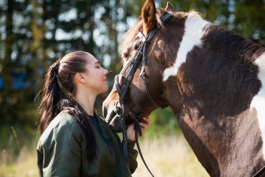 Can a questionnaire help horse owners recognize osteoarthritis?