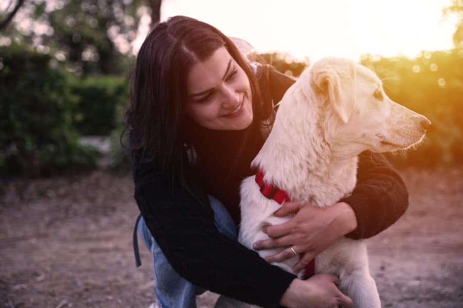 What happens in your dog’s brain when you talk to him?