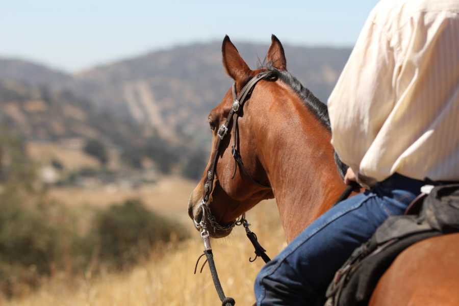 Safe trail riding for you and your horse
