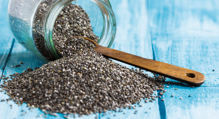 chia seeds for dogs