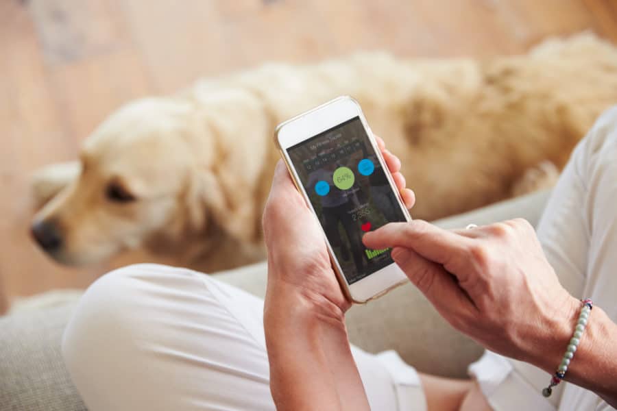 Health and nutrition apps for your dog or cat